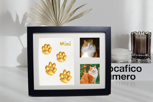 Clay Impression Kit - Pet Paw Print Photo Frame