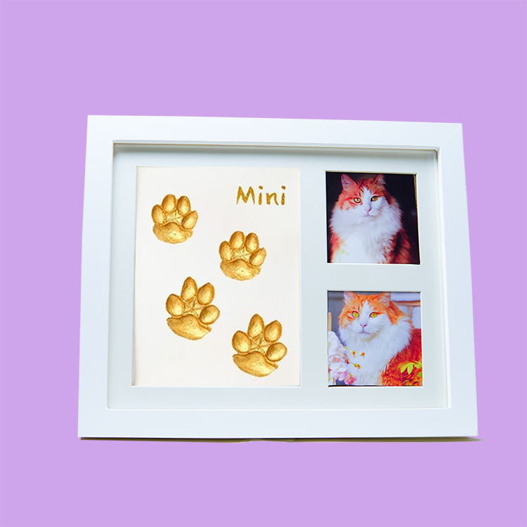 Clay Impression Kit - Pet Paw Print Photo Frame